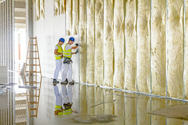 Best Residential Insulation in Penn Yan, NY